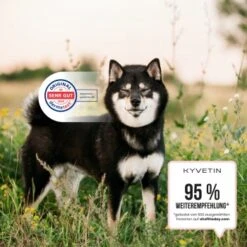 KYVETIN Spray Skin Repair Für Hunde Und Katzen -KONG Verkäufe 855eb3c7fca7c841451cde094ef9ccbea4bfbca8 1364195 de DE KyvetinSpray 5