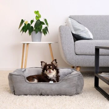 Lionto 2-in-1 Hundebett Hundekissen S 2 Lionto 2-in-1 Hundebett Hundekissen S – Bild 2