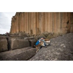 Ruffwear Grip Trex™ Hundeschuhe -KONG Verkäufe 8a04129089dd0c034c3440ca2f5a059543497a42 1363993 de DE 62eaf59e4c30b32a0494684f66bc46a3e77f909dJ6uyPm