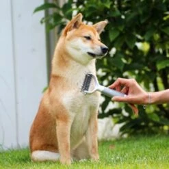 Schlitzohr Unterfellbürste Cookie -KONG Verkäufe 8a282a966ab4bc47cbd028495077fe9505bb8eff 1484683 de DE f9a0182d0c3e6b7b158dd177c8fb6ca9048996c68U5RR2