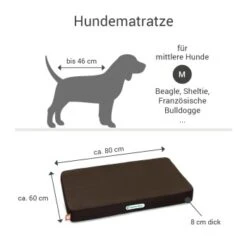 Doctor Bark Hundematratze Braun M -KONG Verkäufe 8abe0340ce832664c2722d96d1e321211e8fd65b 1658174 de DE ef448a38ca6ae1689b1395db88153ebc88580afayC3rpx