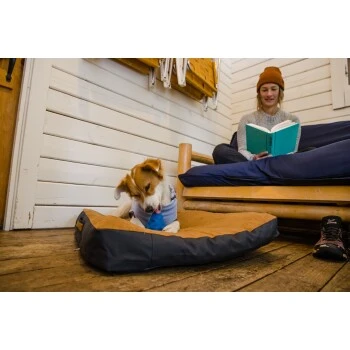 Ruffwear Gnawt-a-Cone™ Spielzeug Gelb 7 Ruffwear Gnawt-a-Cone™ Spielzeug Gelb – Bild 7