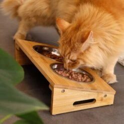 Lionto Futterstation Mit Bambusgestell 7 Lionto Futterstation Mit Bambusgestell -KONG Verkäufe 8c56991d507e18b3df4a2f4045dbd93cd3bd9353 1665980 de DE aa6482f6e46fc6375e62da8010ac0599c0ca4960aJFeP6