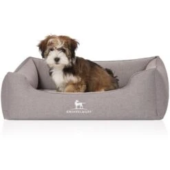 Knuffelwuff Orthopädisches Hundebett Leano Aus Velours Mit Handwebcharakter Grau M-L -KONG Verkäufe 8cbeafe577a072d0d6bd16057cd7e21176cad3da 1411925 de DE 1951371463b50870a92ea4941e4e374352478f14o9lfiE