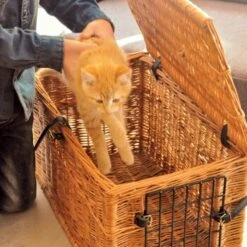 Aumüller Katzenhöhle Eckig -KONG Verkäufe 8d87b362ac9438a292739b68c12353b34ae9f49f 1d1df7833ded5af56aedf174929409f94e84fa5b