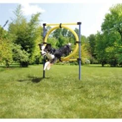 AniOne Agility Set -KONG Verkäufe 8dd2c346cfba9b57b3f14270694b3f975d0558fa 8ae19109d8863c833405d8d5b2e72b4315e858f5