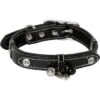 Happy House Halsband Fashion Schwarz S