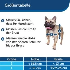 PetSafe SmartDoor Elektronische Hundeklappe, Größe L, Weiß 6 PetSafe SmartDoor Elektronische Hundeklappe, Größe L, Weiß -KONG Verkäufe 925e478f29d003773bb1a75ff2dca34b8fd01bcb 1481147 de DE 97a3b7c824f790031bfdcd0c97ad3f7b292d44bcBPwM27