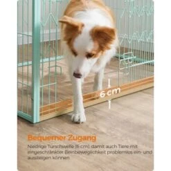 FEANDREA Welpenauslauf 4-teilig Schwarz Mintgrün -KONG Verkäufe 9309392d7cb4389d83a39fc6dbb20378aeb31adf 1500915 de DE d17e1153ac97c90e9e57d018e3e78bdade2a7f61y3I5DK