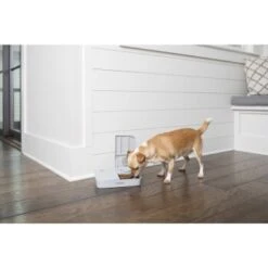 PetSafe Futterautomat Für 2 Mahlzeiten -KONG Verkäufe 98670f242f118bad629edcf021dc784c6a55633d 1343837 2