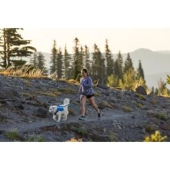 Ruffwear Trail Runner™ Leine 20 Ruffwear Trail Runner™ Leine -KONG Verkäufe 98f21e7cca63fb4d80dbaaac2586f93740693109 1651448 de DE 5295a8211b828d83dadc06360a315d29f14d29c0xJqSju