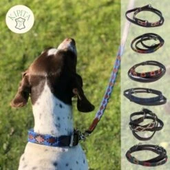 Kipita Polo Hundeleine Noble -KONG Verkäufe 992fac3edc92486a19b1333592b84b50c5287273 1410957 de DE 6d6de6837b022ad01a8c4875ca7db93a18f6bb15k0Amg4