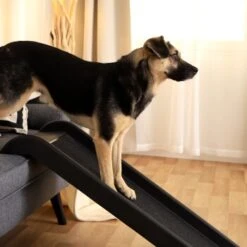 Lionto Hunderampe S 9 Lionto Hunderampe S -KONG Verkäufe 9a27d9081358a028a1b72ead7080510044a8169e 1666004 de DE f64b973e1493edf7fe4f36b8d999583502db377cygQs3E