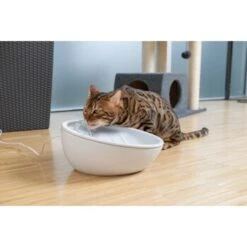 AniOne Keramik-Trinkbrunnen Waterfall Weiß Ohne Ersatzfilter -KONG Verkäufe 9ab78e65ebaf72b76c537cd735c5a7cd6cd4d027 a897eca6393f48ff54c98954a2b189a96196cfbd