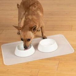 KaraLuna Basic Napfunterlage Transparent L -KONG Verkäufe 9ba40d7c74ee8125e59b22c7e83e8b1c6e9b7d62 1407477 de DE 14497c23a79b7136237df13f9c32b5ed84fd5ff0LsA92E