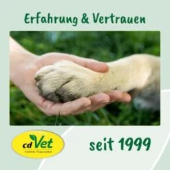 CdVet Ohrenpflege 50ml -KONG Verkäufe 9ed4fc954232c5e8e57d3234b374c19f2505100c 1322257 de DE 9de31ae422c889f65e12a1085ee6ba81b11de6a36QDt4Q
