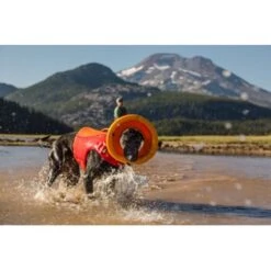 Ruffwear Hydro Plane™ Spielzeug M Orange 9 Ruffwear Hydro Plane™ Spielzeug M Orange -KONG Verkäufe a3976cd8510df92d7b86f42c35fd984bc0313421 1364300 de DE 7e1ea9adae25d55e79a8aed2cc6dc797ac8d0d03R1qvUL