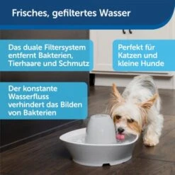 PetSafe Trinkbrunnen Streamside -KONG Verkäufe a4863bb01c9defc206f3abadb7407b11767619bd 1423698 de DE d7c376710365041814bb26a7ca9d55a6a9011fd8Nm0GoI