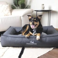 Freudentier Orthopädisches Box Hundebett Siebenschläfer M -KONG Verkäufe a5e52a27b6efa7cff67967197f1e12ef63c601a3 1477909 de DE 0e3346775cbe91d680a139b48e2958643f277017Xq6L3c