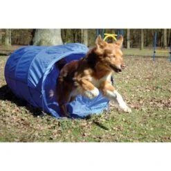 Dobar Agility Tunnel, 60 X 500 Cm -KONG Verkäufe a70db425a55e65c0dd33cb4658677f3cead28e72 3dc1d9596c73e287c8ea8bc83f8445abe7adc92a