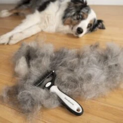 KaraLuna Unterfellbürste 12 KaraLuna Unterfellbürste -KONG Verkäufe a7f89992854b7f274ec4aefce65a9a0c3bed6611 1407475 de DE bdacd808ffd25106dc0030189e088a48f660e6387lmoXE