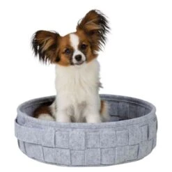 Trixie Korb Lennie 8 Trixie Korb Lennie -KONG Verkäufe a868a0ffa8654658575827dc279a4674b484e3ac 1271506 de DE a3c1e147f326af097e802e22ef5bb024df3dff62aJehH2