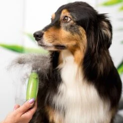 Moser Unterwollrechen -KONG Verkäufe a9457afef8cc9854b1cc05428060e6aca1aa62d7 f209ef3f70da272484eca7394d5156f09925de7d