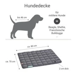 Doctor Bark Hundedecke Grün M -KONG Verkäufe a94f9155e4e3594e9362b3931930cb77b7e48bcd 1658159 de DE d35f413da598052eaa87fce5f44df376cd53859do9MNja
