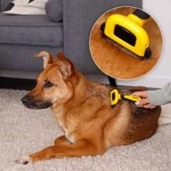 Lionto Haustierbürste, Zupfbürste 11 Lionto Haustierbürste, Zupfbürste -KONG Verkäufe a99a14a7250fd4e501ec529126934f0a8e973480 1665908 de DE 47ac745e0253c5bc3fba7e69b1681c237a8f3a97orElkU