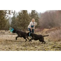 Ruffwear Pacific Ring™ Spielzeug Blau/ Türkis -KONG Verkäufe aaae4ecd59db92ffe25787fd56b7315d42974ecb 1444351 de DE f747ae339bc2beff156a317c539c1237b854177bd9ZZMN