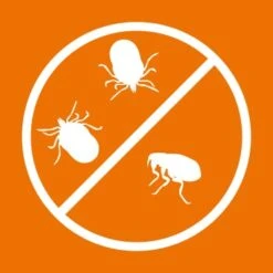 Ardap Spot-On Für Hunde M -KONG Verkäufe ad843198ab994b5fa0ced8fd8d9a779c24e7bf5e 1150898 de DE 216402434a597a152b5e3e2d02d3c041c3a61282S4FAGi