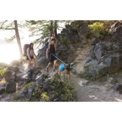 Ruffwear Approach™ Hunderucksack Blau M -KONG Verkäufe adb6fe53f35c002880a11fdf955223282473e71e 1639823 de DE d58a64010d5b9dcf26c55b9da34cfb41fef50ac2cwioux