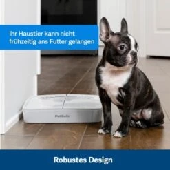 PetSafe Futterautomat Für 2 Mahlzeiten -KONG Verkäufe afccbd633c58c8351d6efc6cc5102f36b818906b 1343837 10