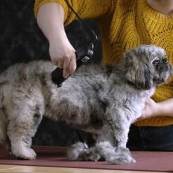 Moser Schermaschine Max 45 Inkl. ASK -KONG Verkäufe b0d4eca208b1c44fde9769108a0a7feb3a3a5ad2 da57035be550c76ab9dcf7d8dbc15959d076f3f0