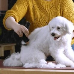 Moser Schermaschine Arco Pro -KONG Verkäufe b131ca6d4dc18dbcff5826048d13c7a9865a2f22 9527aaf3ea2ef7fd3da12225a4b042dbe7fd8159