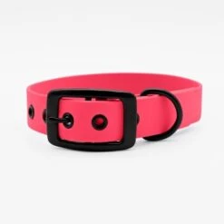 THE DOG IDEA Biothane Halsband Pink Schwarz S -KONG Verkäufe b16f2d8da1cb9e58e23046987388dcfb4ad481c4 1662757 de DE ded9f11e9577ad86bad43172709eacdf52e26631FI94Yr