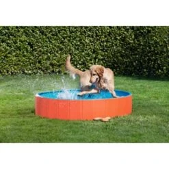 FIT+FUN Pool S -KONG Verkäufe b1cb34c1bb87f494acad835c3466dcf4312a1144 49528db90b739bc978efe51f63d1f6253667db9a