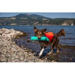 Ruffwear Lunker™ Spielzeug Blau/ Türkis -KONG Verkäufe b1ff74faaf51c648517e284bc677372b2de917b1 1364294 de DE 872baa13c3c684e3cd884d6a02e37e7e22ad686cLNC7EY