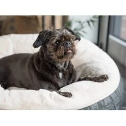 TrendPet LunaBed Hundebett Beige S 6 TrendPet LunaBed Hundebett Beige S -KONG Verkäufe b212c247b049ca8bfe06f13412a12f4f8872bd34 1343729 de DE 09debbd0142a0d2cb20a6392f9d425901b9f7709LSeqTd