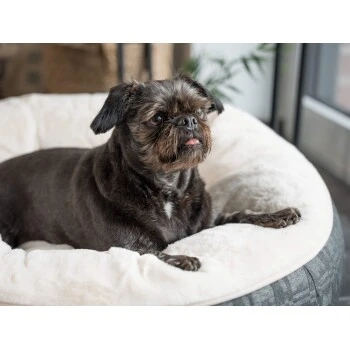 TrendPet LunaBed Hundebett Beige S 3 TrendPet LunaBed Hundebett Beige S – Bild 3