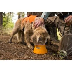 Ruffwear Bivy™ Faltbarer Napf 8 Ruffwear Bivy™ Faltbarer Napf -KONG Verkäufe b21f85e12f046bba6b04285e99963c46170021f9 1651613 de DE 125ef372cbb05a1c89e3245701a5cdf0079102b6GpOPij