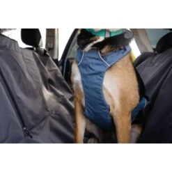 Ruffwear Auto-Sicherheitsgeschirr Load Up™ M -KONG Verkäufe b45e1bbf9038d9b5d5ff3b6bc7ee162de2a64a65 1670640 de DE 6d9ee10119aa752e2ba3e51ad3cee090b4eadc7a8ih1IE