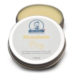 Dr. Hölter Pfotenbalm Pfotenwachs 50ml 7 Dr. Hölter Pfotenbalm Pfotenwachs 50ml -KONG Verkäufe b64e53a6b96cf5a7ae131b0b680febb119686b79 1421234 de DE 21e7bb2f4ec2d30a86ddb64e9ef965ee053a91cfMG6XN5