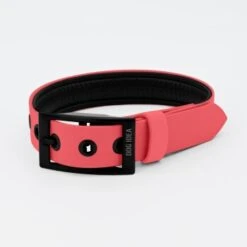 THE DOG IDEA Biothane Halsband Coral Koralle M 9 THE DOG IDEA Biothane Halsband Coral Koralle M -KONG Verkäufe b7fe16fc921b2bcba328d45611a408d7405444fe 1481102 de DE 29ea273c3dfe4a43cc9376332d0f6335f89604dcwos5u2