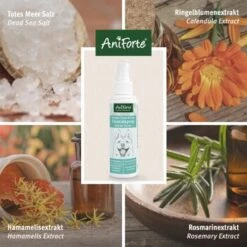 Aniforte Dentalspray Zahnpflege Spray 100ml -KONG Verkäufe b8c2494df30b706b215daba4b3b66c8a0a3adb3b 1439278 de DE f771ceb2289f6e14df78bea1815642d81ce3e3cf9ASqvV