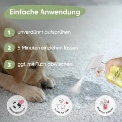 Pawlie's Tier-Geruchsentferner -KONG Verkäufe ba4e72bd0856659ee703976c3992ad377159a32b 1626202 de DE 09ba7a0a0323d0ef51bb3689b7ee854b0f5c28feEmQBAQ