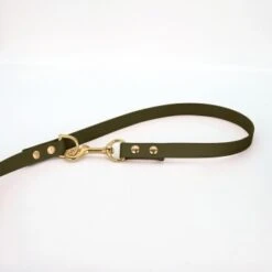 THE DOG IDEA Biothane Hundeleine Gold Khaki -KONG Verkäufe ba8d255fb716394c17e07af2b5ef5b85a720f116 1655423 de DE 5e757c090042c1e0d6305bf96e6af8382b1815e778ZfRC