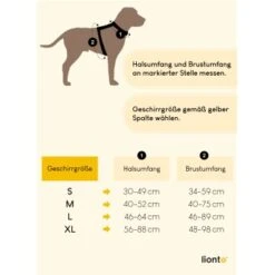 Lionto Hundegeschirr Rot S -KONG Verkäufe bcdf70213d263dc8d82f1ef051233798c9c46c6b 1505063 de DE 286b9f53554d6b328cf7dfb9b002fa6f9a01a4abIX22z3