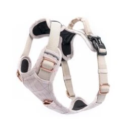 Freudentier Atmungsaktives Hundegeschirr S -KONG Verkäufe c06eb245ac6139883574f271a28c7a317f61091c 1429123 de DE 54f7662776546638d4895205027234028965cb0ciT3eNe