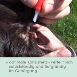 CdVet Ohrenpflege 50ml -KONG Verkäufe c330e575dc631097f489b8a11a15e09f2421458f 1322257 de DE 4b4360f1b0792ee01691f9782dbac9d472f73d96FbVUlI